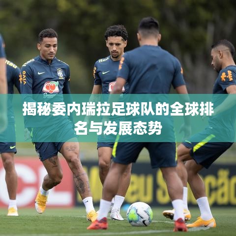 揭秘委内瑞拉足球队的全球排名与发展态势