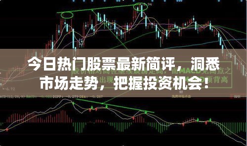 今日热门股票最新简评，洞悉市场走势，把握投资机会！