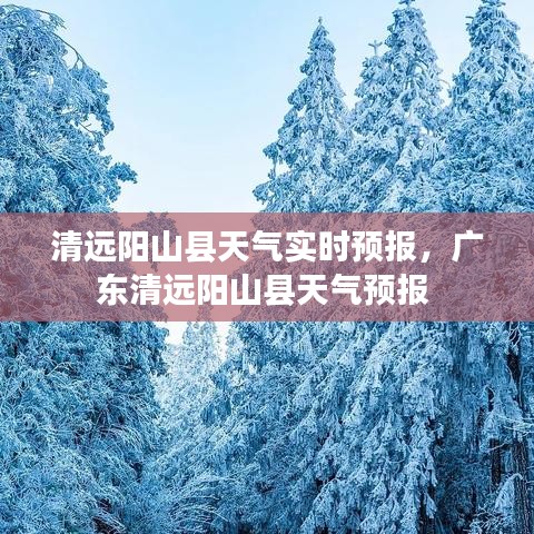 清远阳山县天气实时预报，广东清远阳山县天气预报 