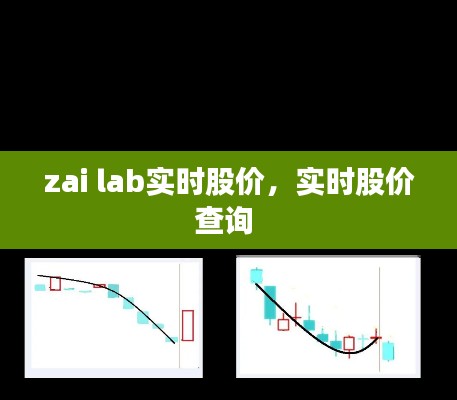 zai lab实时股价，实时股价查询 