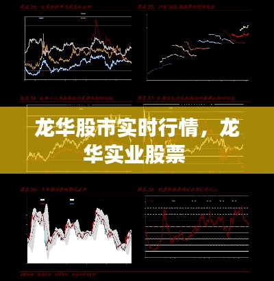 2024年12月 第126页