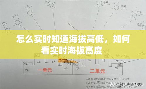 新闻动态 第16页