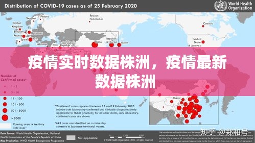 疫情实时数据株洲，疫情最新数据株洲 