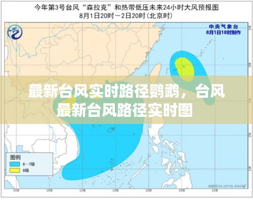 最新台风实时路径鹦鹉，台风最新台风路径实时图 