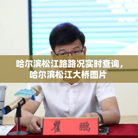 哈尔滨松江路路况实时查询，哈尔滨松江大桥图片 