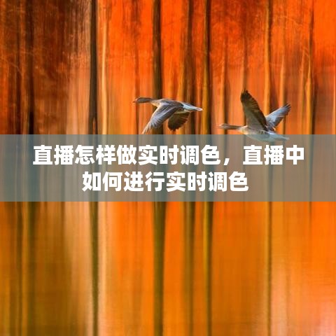 直播怎样做实时调色，直播中如何进行实时调色 