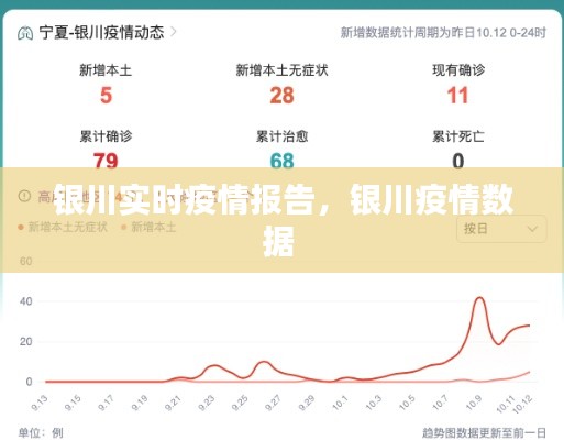 银川实时疫情报告，银川疫情数据 