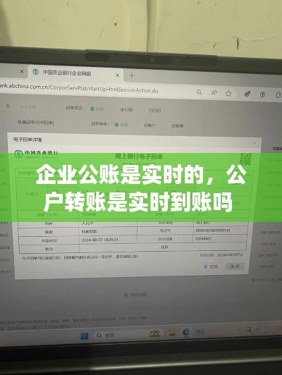 企业公账是实时的，公户转账是实时到账吗 