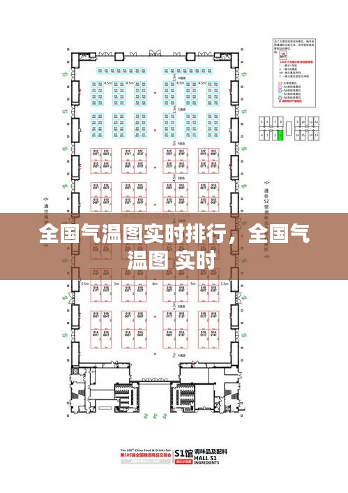 2024年12月19日 第10页