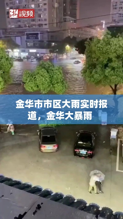 金华市市区大雨实时报道，金华大暴雨 