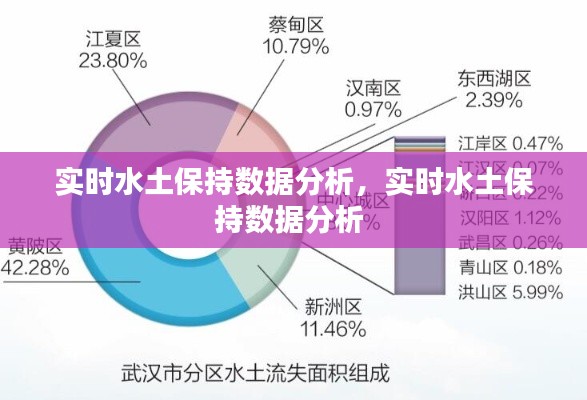 实时水土保持数据分析，实时水土保持数据分析 