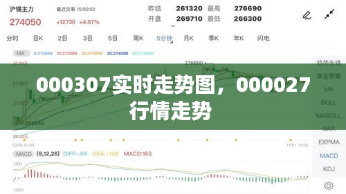 000307实时走势图，000027行情走势 