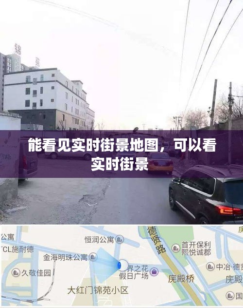 能看见实时街景地图，可以看实时街景 