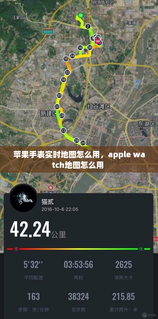 苹果手表实时地图怎么用，apple watch地图怎么用 