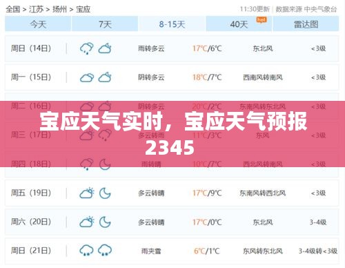 2024年12月20日 第9页