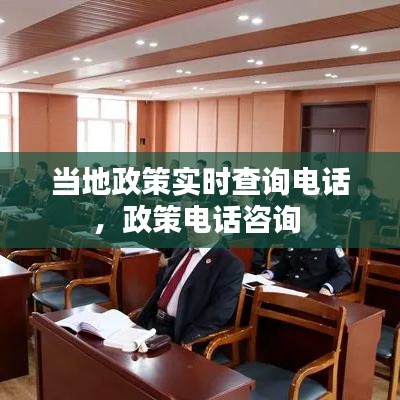 当地政策实时查询电话，政策电话咨询 