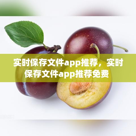 实时保存文件app推荐，实时保存文件app推荐免费 