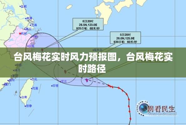 台风梅花实时风力预报图，台风梅花实时路径 