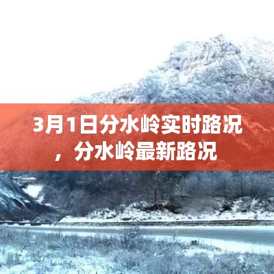 3月1日分水岭实时路况，分水岭最新路况 