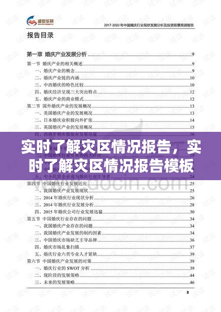 实时了解灾区情况报告，实时了解灾区情况报告模板 