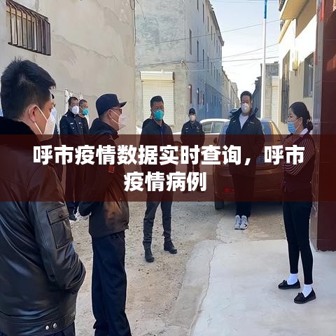 呼市疫情数据实时查询，呼市疫情病例 