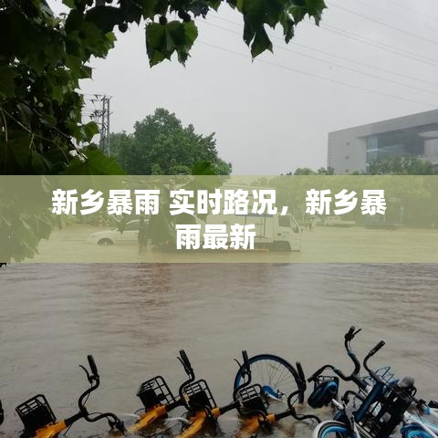 新乡暴雨 实时路况，新乡暴雨最新 