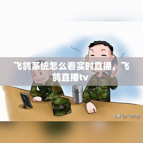 飞鸽系统怎么看实时直播，飞鸽直播tv 