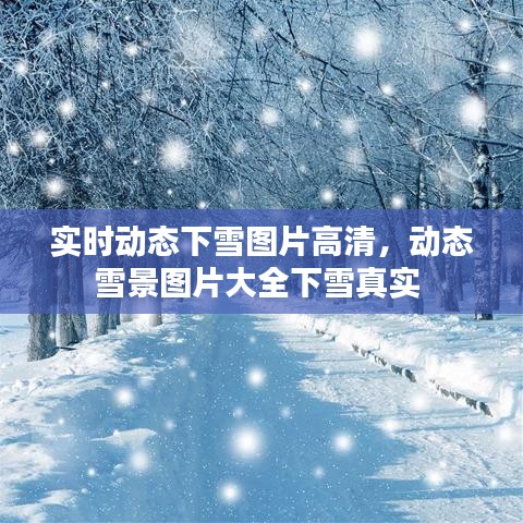 实时动态下雪图片高清，动态雪景图片大全下雪真实 