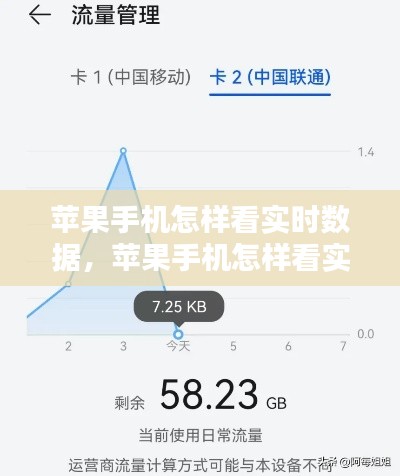 苹果手机怎样看实时数据，苹果手机怎样看实时数据流量剩余 