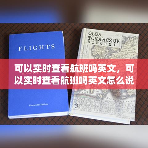 可以实时查看航班吗英文，可以实时查看航班吗英文怎么说 