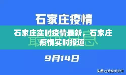 石家庄实时疫情最新，石家庄疫情实时报道 