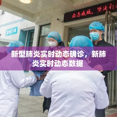 新型肺炎实时动态确诊，新肺炎实时动态数据 