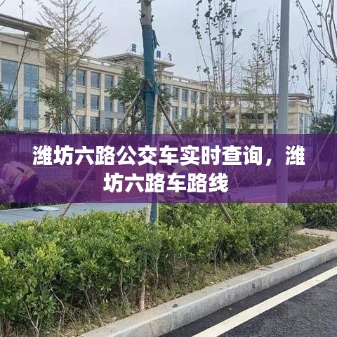 潍坊六路公交车实时查询，潍坊六路车路线 