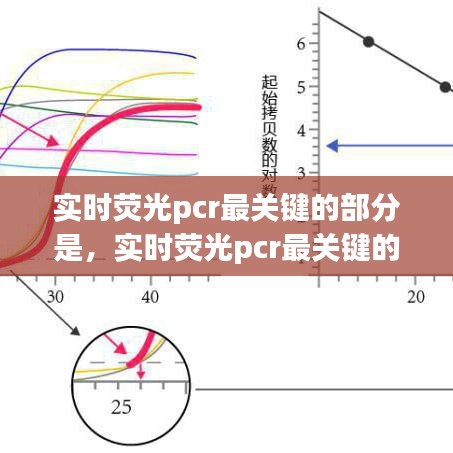 实时荧光pcr最关键的部分是，实时荧光pcr最关键的部分是哪些 