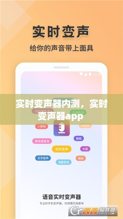实时变声器内测，实时变声器app 
