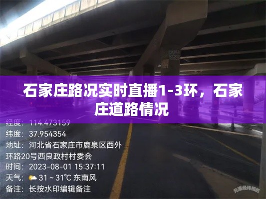 石家庄路况实时直播1-3环，石家庄道路情况 