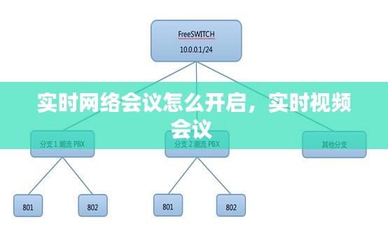 实时网络会议怎么开启，实时视频会议 