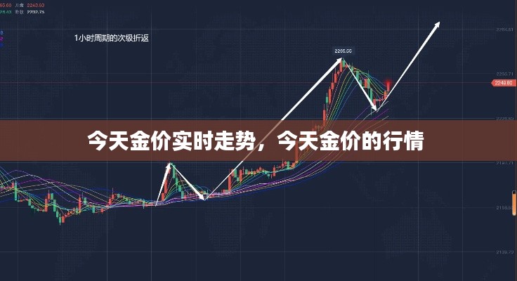 今天金价实时走势，今天金价的行情 