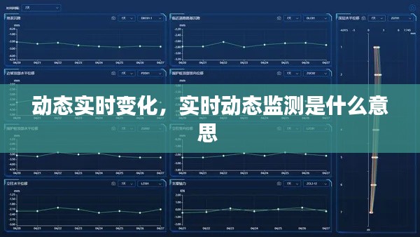 动态实时变化，实时动态监测是什么意思 