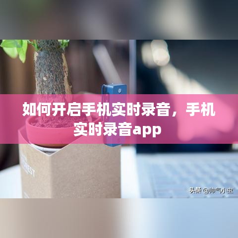 如何开启手机实时录音，手机实时录音app 