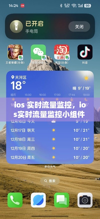 ios 实时流量监控，ios实时流量监控小组件 