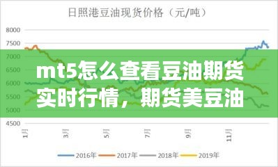 mt5怎么查看豆油期货实时行情，期货美豆油代码 