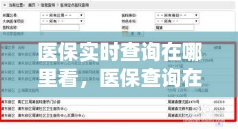 医保实时查询在哪里看，医保查询在什么地方 