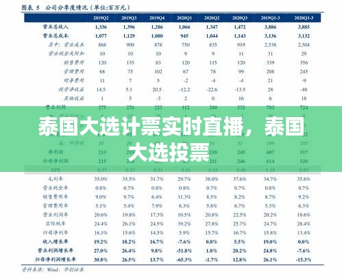 泰国大选计票实时直播，泰国大选投票 