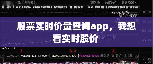 股票实时价量查询app，我想看实时股价 