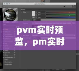 pvm实时预监，pm实时监测 