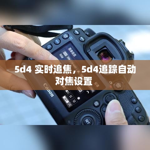 5d4 实时追焦，5d4追踪自动对焦设置 