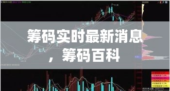 筹码实时最新消息，筹码百科 