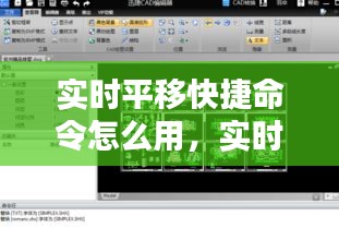 实时平移快捷命令怎么用，实时平移和移动的区别是什么 