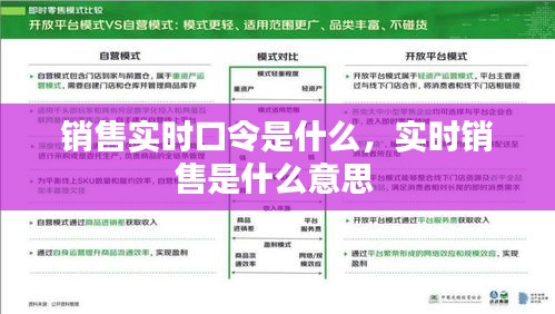 销售实时口令是什么，实时销售是什么意思 